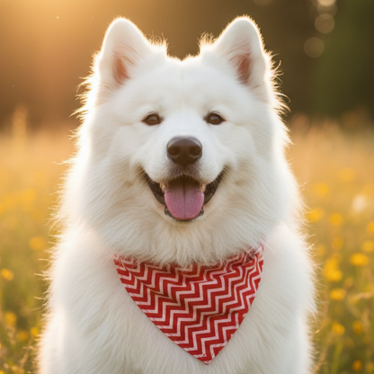 Handcrafted Khaadi Dog Bandana with Traditional Block Prints – Breathable, Festive, Free Size, Perfect for Dogs of All Breeds