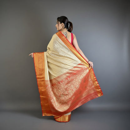Woman wearing a colorful saree in a room with a plant and chair.