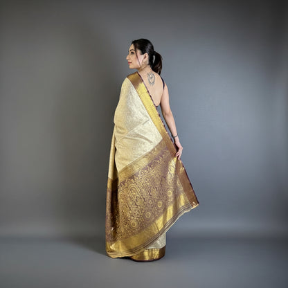 Woman wearing a gold and beige saree in a room with a plant and chair.